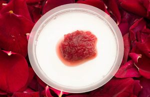 Snow Factory Pure & Natural Homemade Yogurt debut