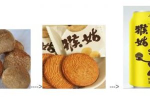 New ‘monkey head mushroom’ drink in China