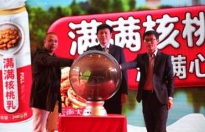 New launches in plant drink & plant protein space