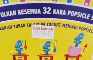 Fernleaf CalciYum popsicle yogurt engaging young consumers