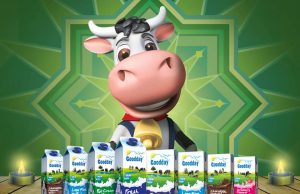 We are one big happy cow family