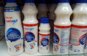 Slimmer waist for Nutrigen cultured milk