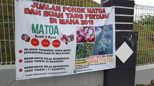 Product innovations at MAHA 2016 agricultural, horticultural show 