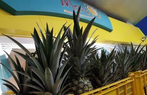 Petronas Kedai Mesra in festive mood selling auspicious pineapples