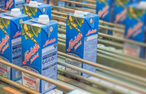 Dairy-free alternatives in Iran