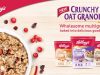 Kellogg’s promotes granola for breakfast occasion, rose granola for China