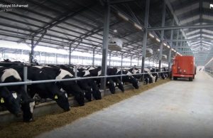 New Mitsui, ABC dairy farm, processing facility launched