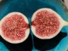 Fresh fig gains spotlight as Malaysians start to eat fresh