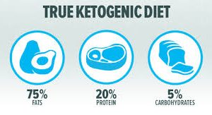 Ketogenic diet gains popularity in Southeast Asia