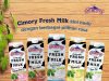 Cimory refreshes packaging of its fresh milk, new banana flavoured milk