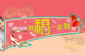 Health and auspiciousness in a bundle of good fortune with BRAND’S® 2018 Chinese New Year treasures