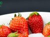 Feed your Seoul with First Pick Maehyang Strawberries and win a trip to Korea
