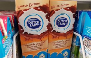 New Dutch Lady Chocolate Caramel Flavoured Milk