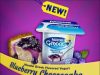 New Nestlé Greek Blueberry Cheesecake Yogurt