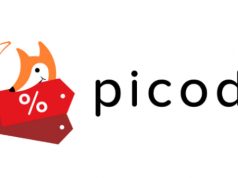 Surviving on minimum wage – Picodi