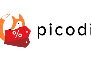 Surviving on minimum wage – Picodi