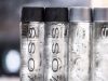 Reignwood, Octopus in Southeast Asia deal to market VOSS premium water