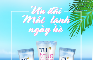 Durian, coconut and vanilla-strawberry ice cream from TH