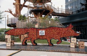 Fox Invasion by Apple Fox Cider