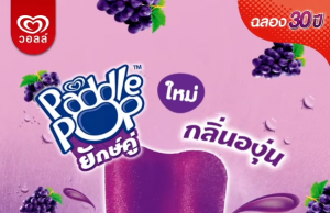 New innovative shareable Paddle Pop ice cream