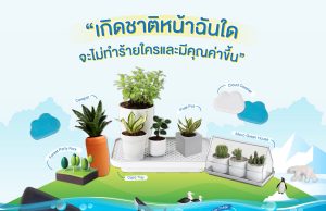 Ichitan protects the environment by turning plastic waste into chic home decoration items