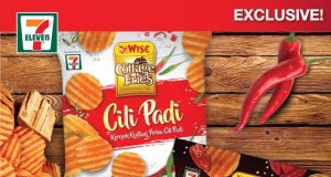 Wise Potato Chips Mini Me Insights