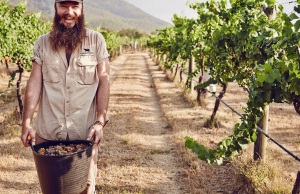 Top Biodynamic Wineries in New South Wales to Raise a Glass to the New Year