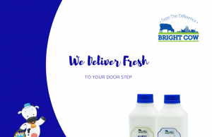 FGV takes controlling stake in Bright Cow owner