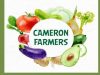 Lazada makes it convenient to buy fresh Cameron Highlands vegetables