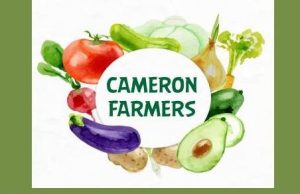 Lazada makes it convenient to buy fresh Cameron Highlands vegetables