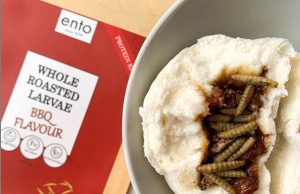 Try having sustainable high protein in your favourite dumpling