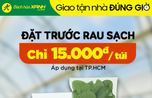 Vietnamese retailer Bách hóa XANH sells safe, traceable fresh vegetables
