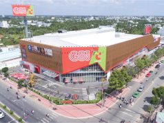 Vietnam in Perspective: Eight Successful Years of Central Retail’s Operations in the Rising Market