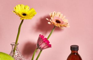 WonderBrew Kombucha localises with Ipoh Mali featuring the famous Ipoh pomelo