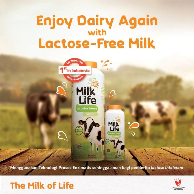 MilkLife launches Indonesia's first lactosefree milk Mini Me Insights