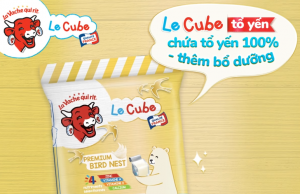 Laughing Cow cheese cube with bird nest for stronger body