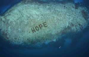 SHEBA, a Mars, Incorporated petfood brand unveils World’s Largest Coral Restoration Program: Hope Reef
