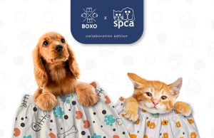 BOXO Pledges to Donate 10% of Profit to SPCA Selangor SFS Efforts