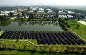 CP Foods moves towards low-carbon organization, help driving the “Decade of Ecosystem Restoration”