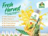 Tanah Makmur launches Fresh Harvest pineapple-based juices