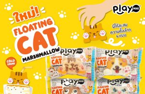 Playmore new Floating Cat & Dog Marshmallow and Butterfly Lifecycle Gummy