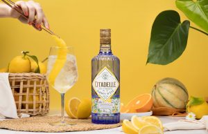 Create summer cocktails that transport you to France with Citadelle Gin’s latest addition, Jardin d’Été