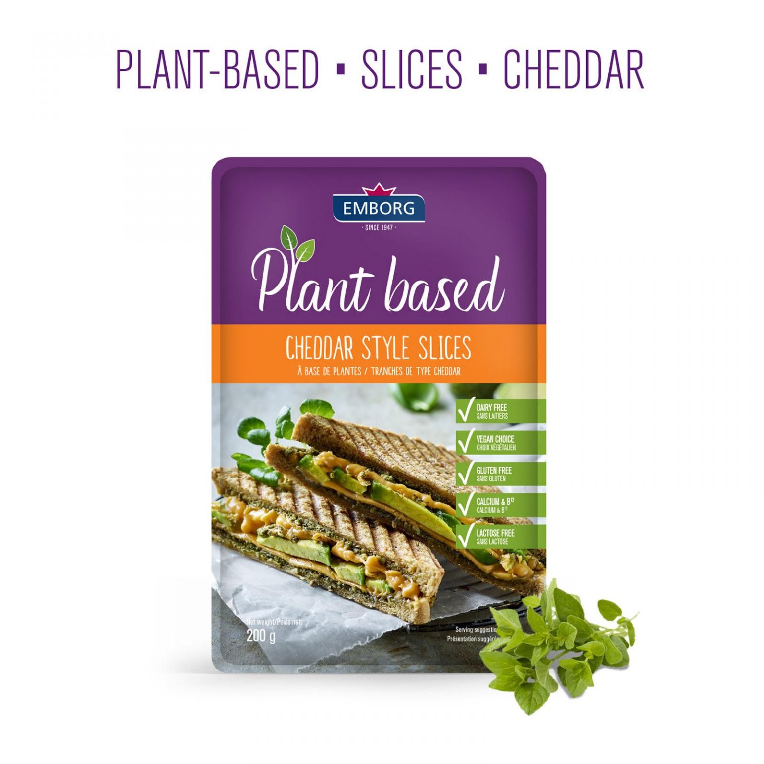 plantbased slice cheese now in Malaysia Mini Me Insights