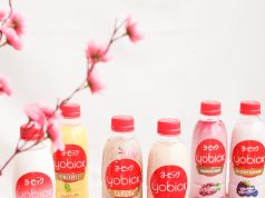 Badminton Mix Doubles Duo Strives for 2020 Tokyo Olympics Gold Medal