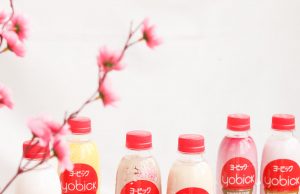 Badminton Mix Doubles Duo Strives for 2020 Tokyo Olympics Gold Medal