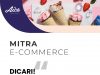 Aice launches Mitra E-Commerce to sell online
