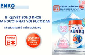 Vinamilk new Kenko contains Fucoidan