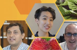 CPF invites global start-ups to create healthy plant-based meat alternatives