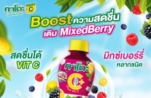 New Kato Fruit Juice with Nata De Coco Plus Vitamin C in mixed berry flavour
