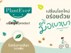 Cargill launches new plant-based protein brand PlantEver(TM) for consumers in Thailand